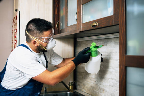Best Emergency Pest Control  in Williston Park, NY