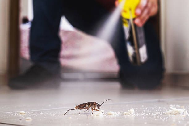 Best Residential Pest Control  in Williston Park, NY