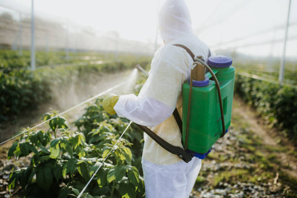 Best Residential Pest Control  in Williston Park, NY